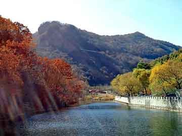 澳门二四六天天彩图库，往复泵流量调节